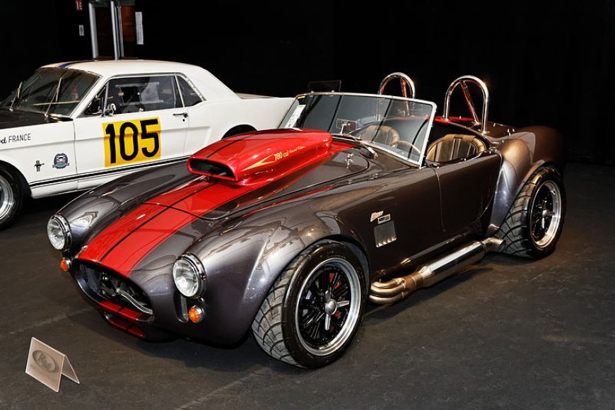 Weineck cobra 16.0L